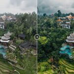 Free Cinematic LUT Video Color Correction Download
